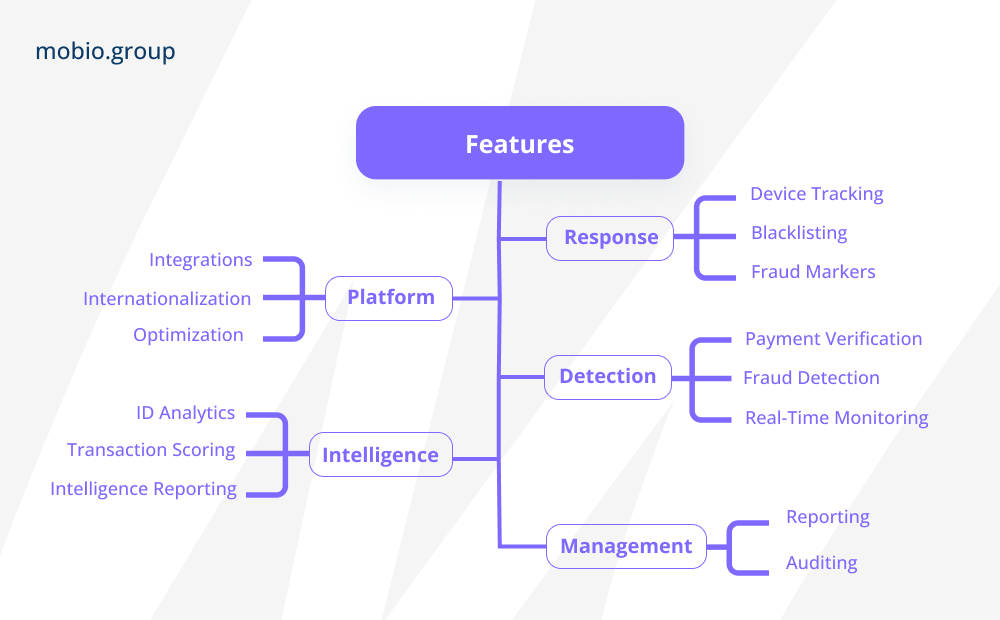 Anti-fraud systems typical architecture